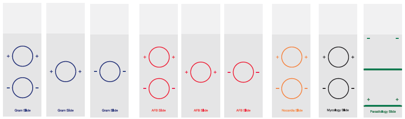 1566291842(1) 质量控制载玻片, 质量控制载玻片 供应